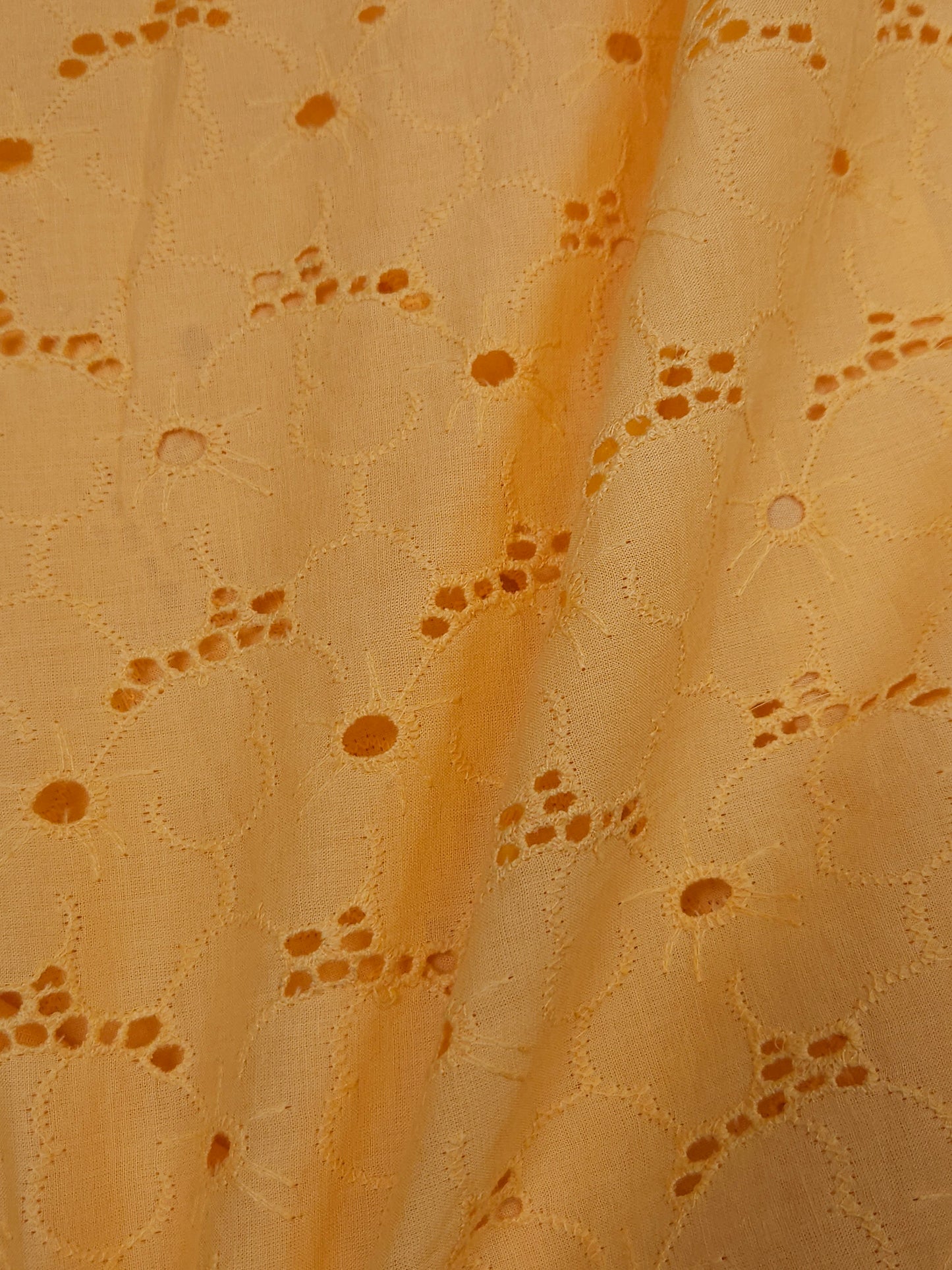 Luxury Pastel Yellow Cotton Floral Schiffli Embroidered Fabric