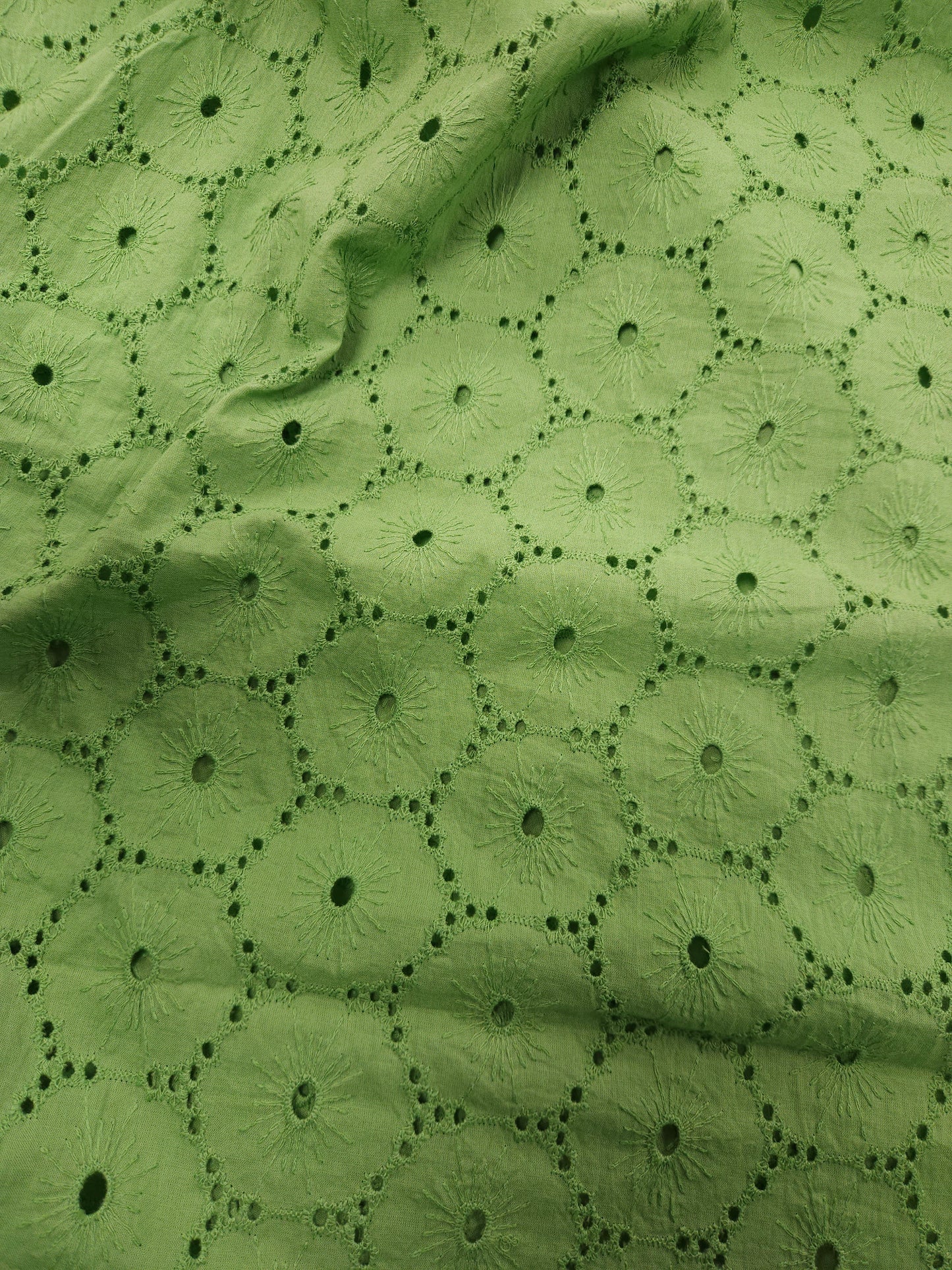 Sage Garden Cotton Schiffli Embroidered Fabric