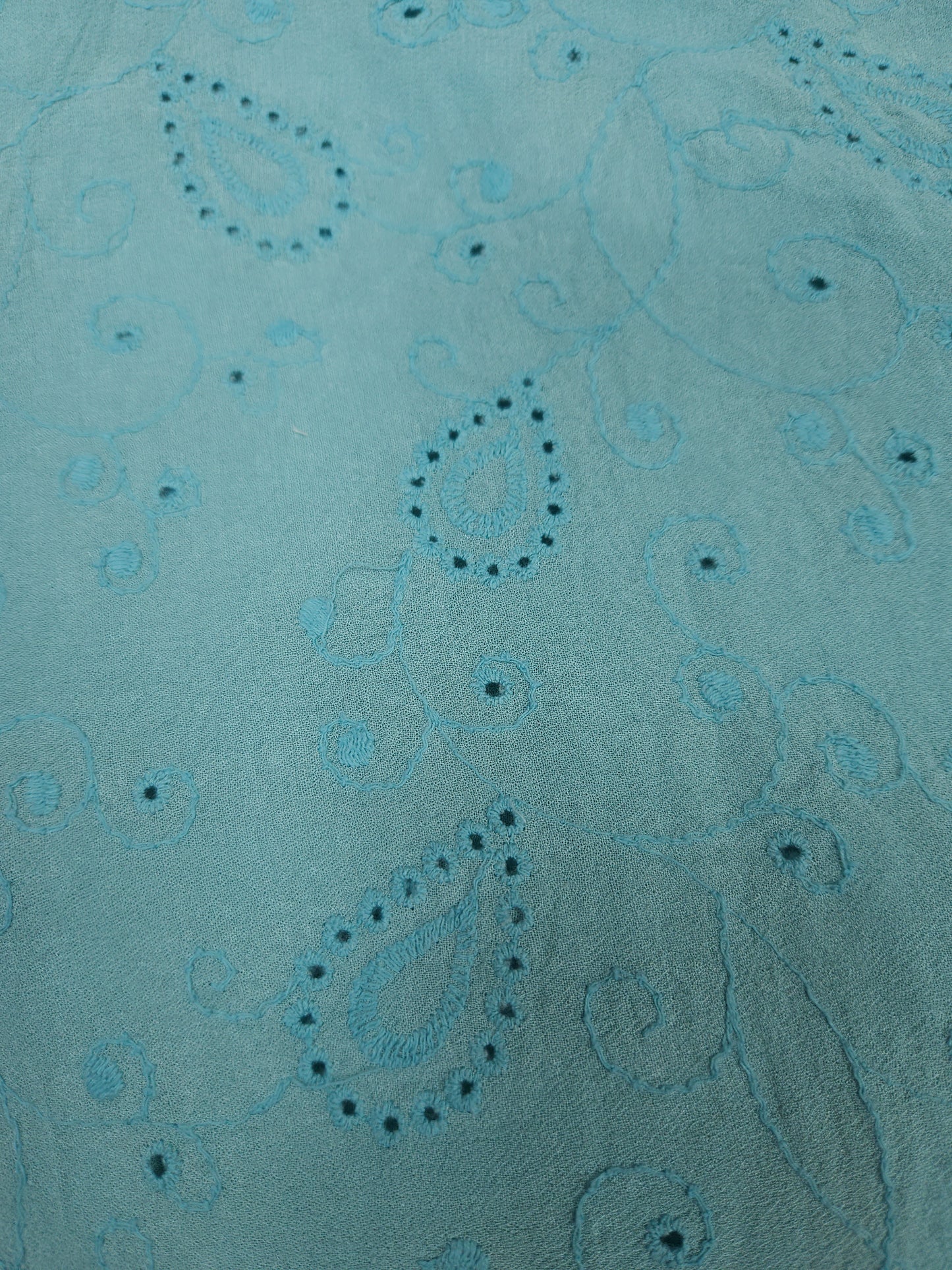 Aqua Paisley All Over Schiffli Cotton Fabric