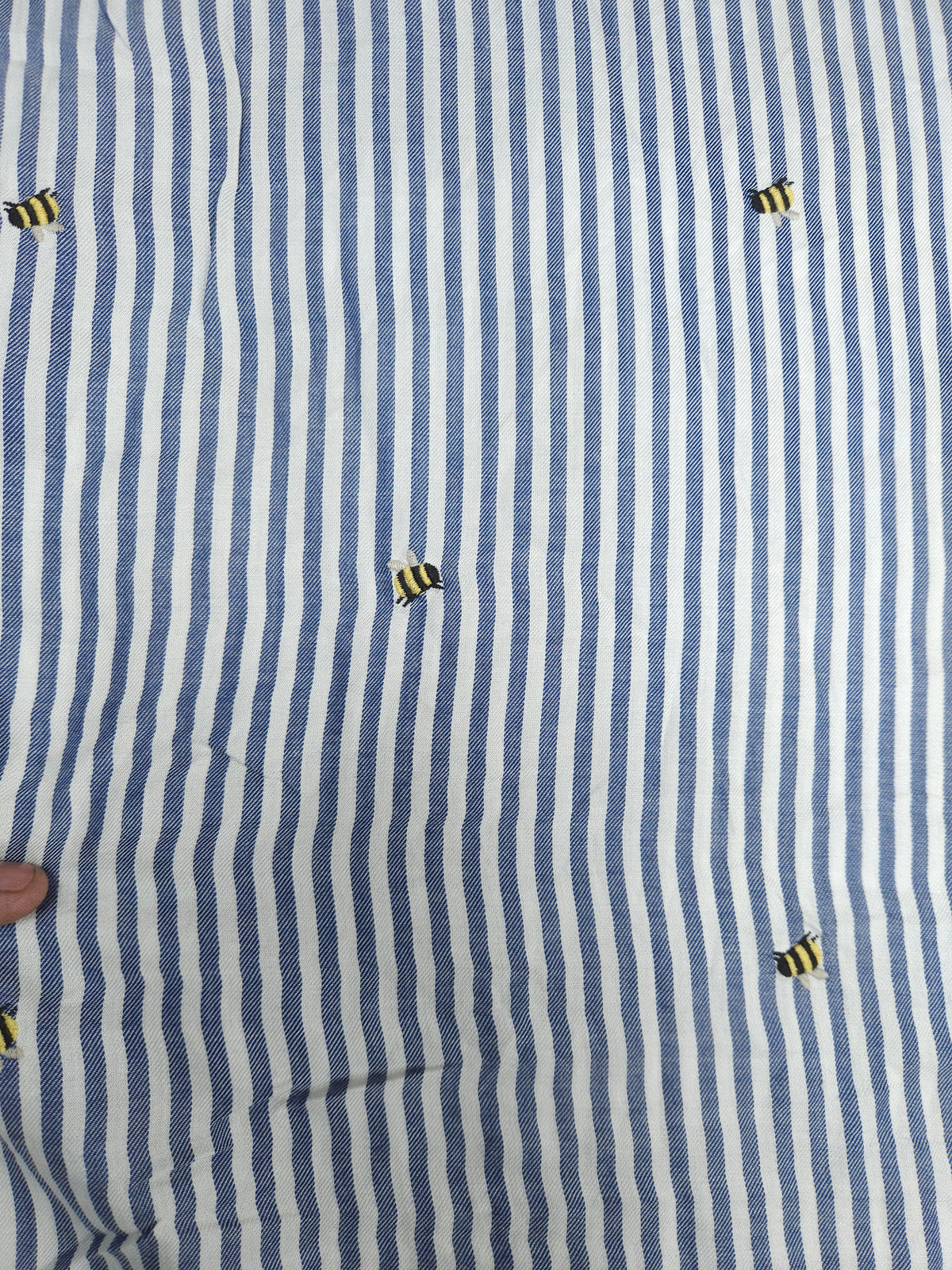 Blue Stripe  Schiffli Embroidered Cotton Fabric