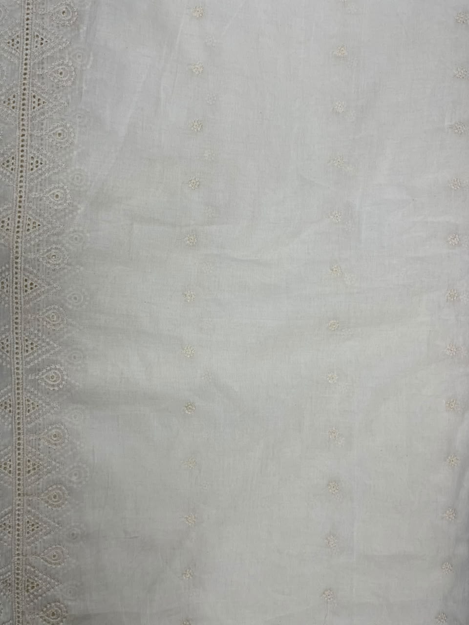 Off White Cotton Schiffli Fabric with Heavy Embroidered Border