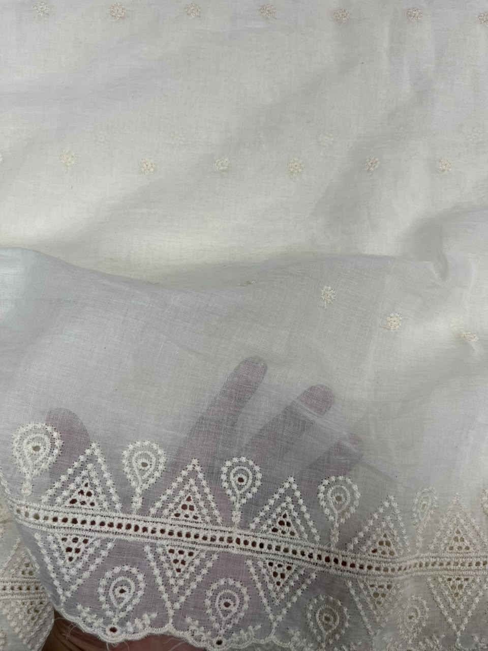 Off White Cotton Schiffli Fabric with Heavy Embroidered Border